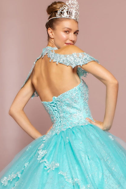 Embroidered Bodice Glitter Mesh Quinceanera Dress