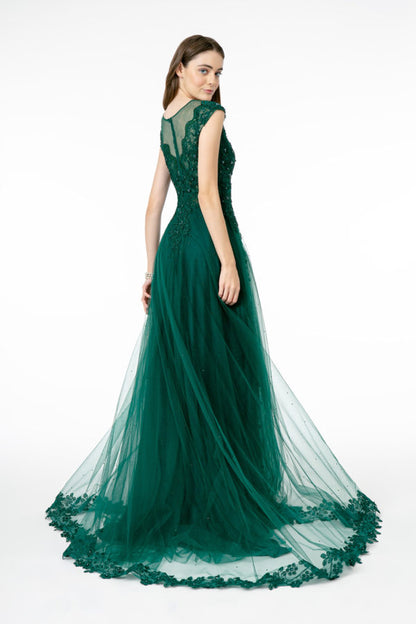 Embroidered Mesh A-Line Long Dress w/ Sheer Back