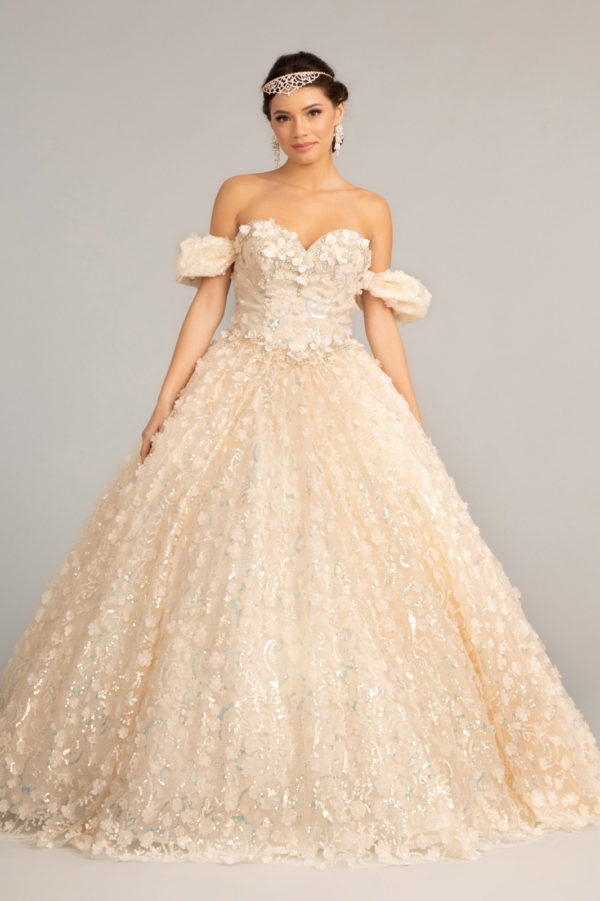 Jewel Embellished Mesh Quinceanera Ball Gown w/ 3-D Applique and Corset