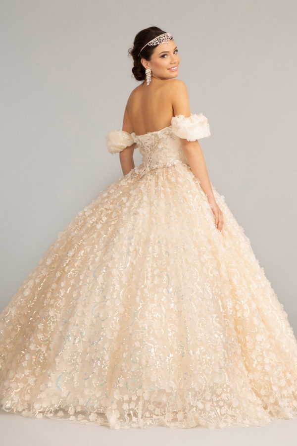 Jewel Embellished Mesh Quinceanera Ball Gown w/ 3-D Applique and Corset