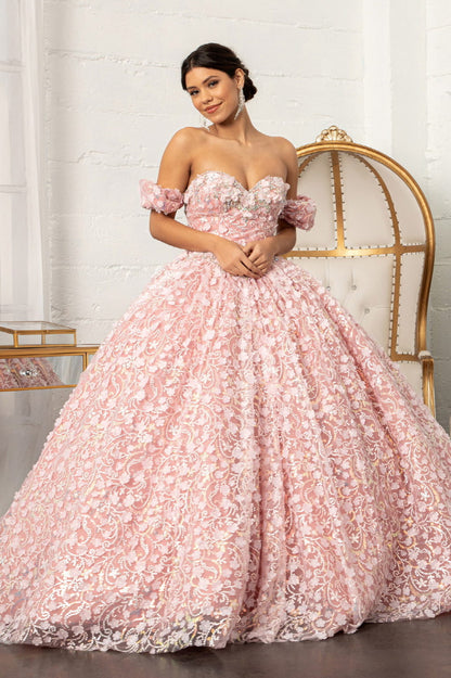 Jewel Embellished Mesh Quinceanera Ball Gown w/ 3-D Applique and Corset