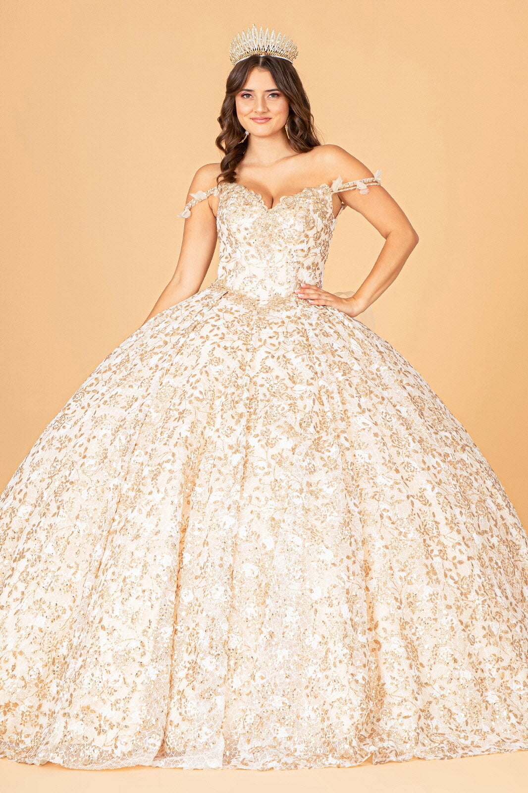 Mesh Detachable Long Sleeves Quinceanera Dress w/ Detachable Ribbon and Ruffled Train