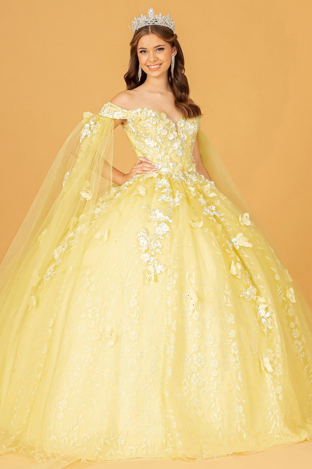 Embroidery Glitter Quinceanera Gown w/ Long Mesh Layer