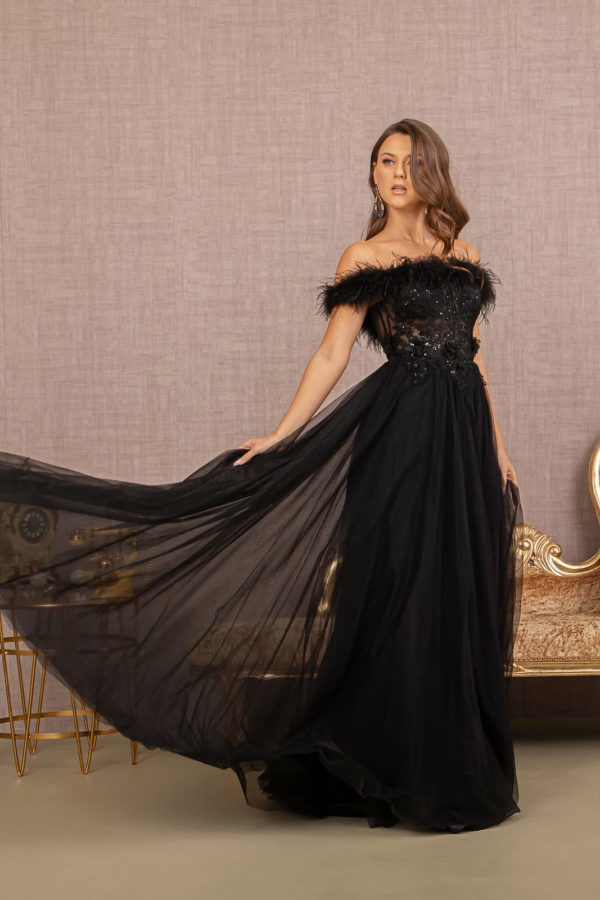 Embroidery Sheer Front Mesh A-line Dress w/ Feather Embellishment