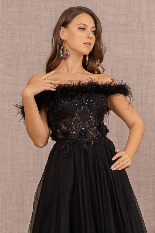 Embroidery Sheer Front Mesh A-line Dress w/ Feather Embellishment