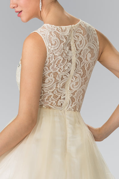 Sleeveless Short Dress with Lace Bodice and Sheer Waistline