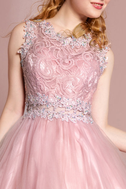 Sleeveless Short Dress with Lace Bodice and Sheer Waistline