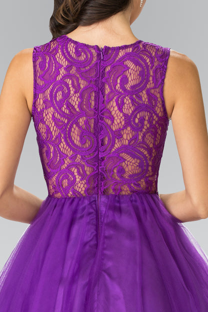 Sleeveless Short Dress with Lace Bodice and Sheer Waistline