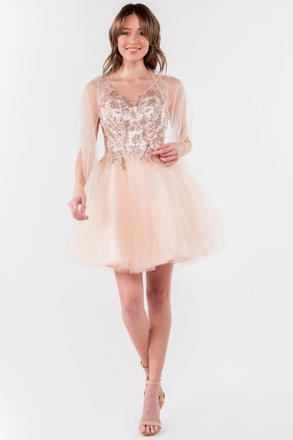 Glitter Embellished Bodice V-Neck Tulle Short Dress