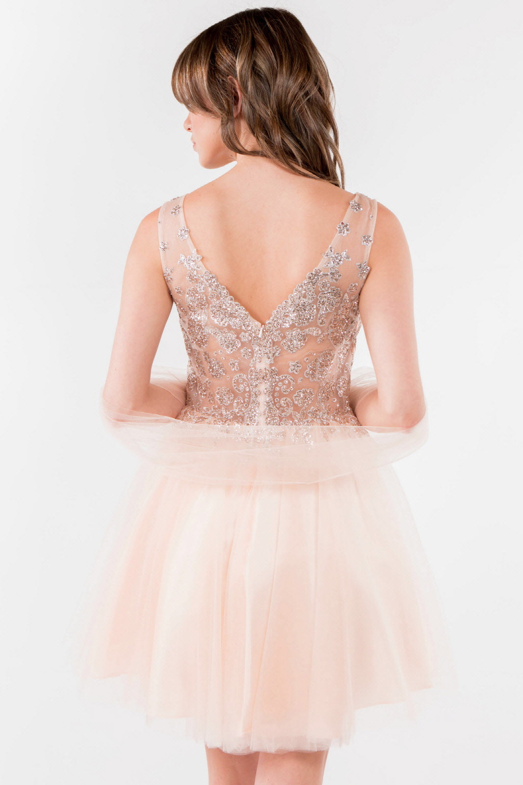 Glitter Embellished Bodice V-Neck Tulle Short Dress