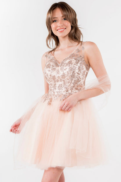 Glitter Embellished Bodice V-Neck Tulle Short Dress