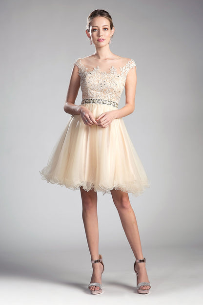 Beaded Lace Bodice Tulle Short Dress