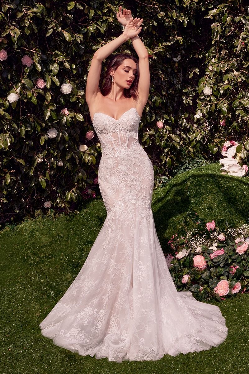 Detachable Wings Mermaid Wedding Gown