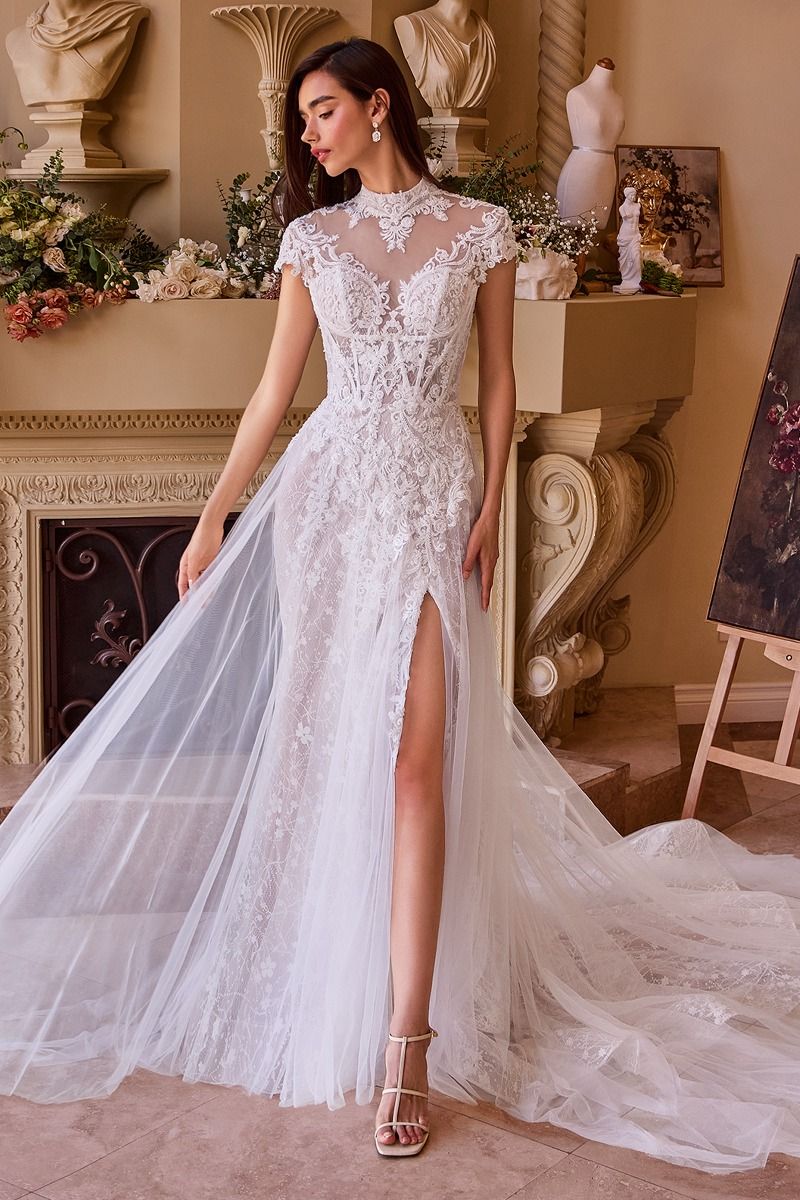 Lace & Tulle Short Sleeve Wedding Gown