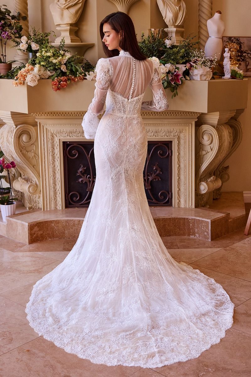 Versitile Fitted Lace Bridal Gown