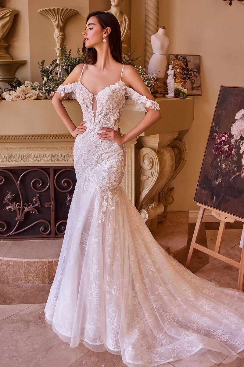 Fitted Lace Mermaid Wedding Dress