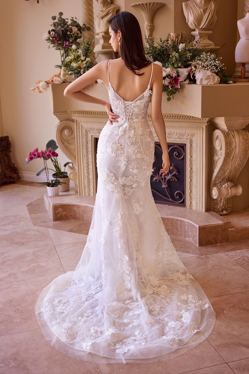 Fitted Lace Wedding Gown