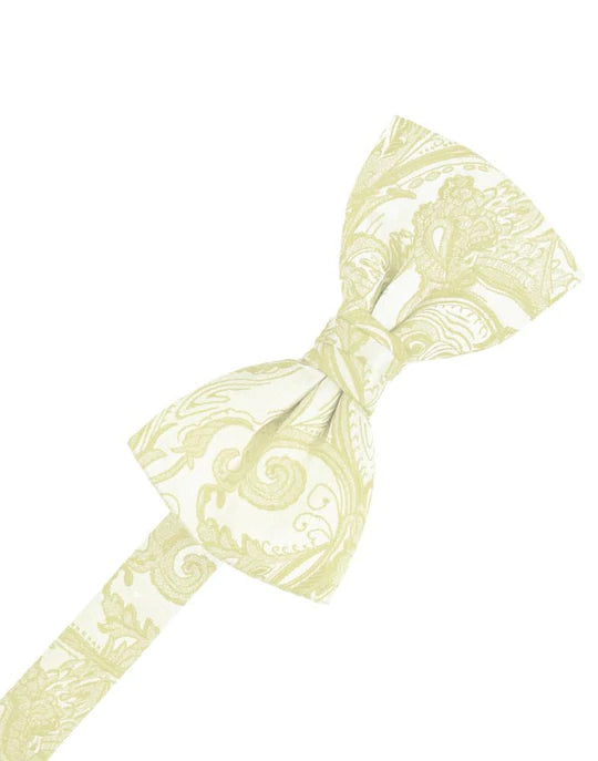 Tapestry Kids Bow Tie