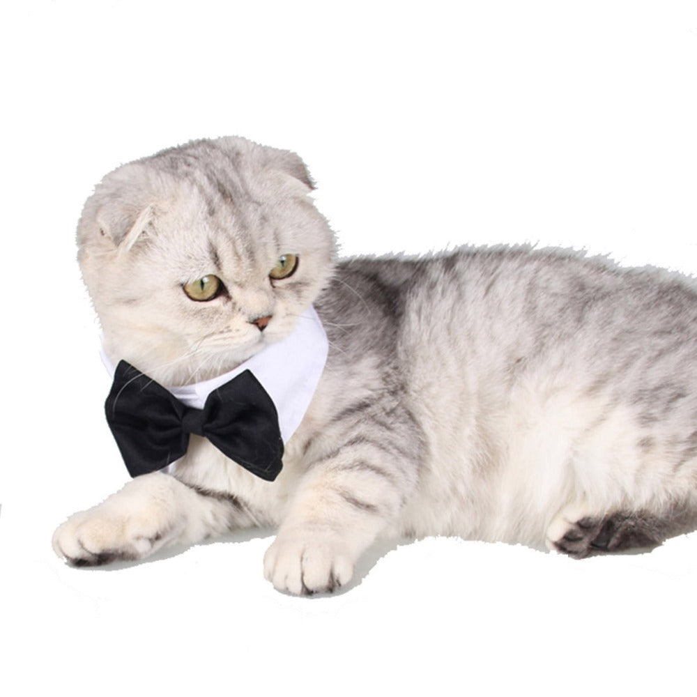 Pets Dog-Cat Bow Tie Adjustable