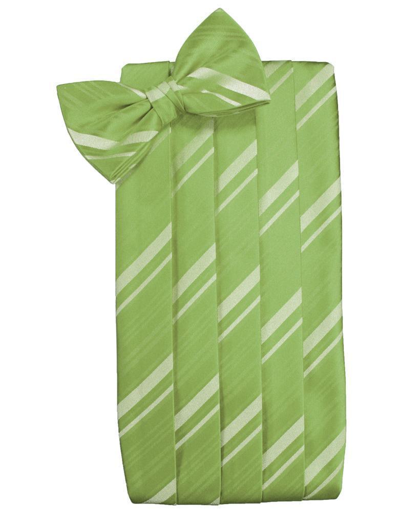 Set Striped Satin Cummerbund & Bow Tie - Clover - Faja 