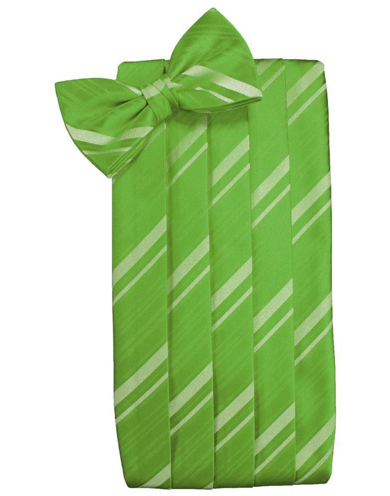 Set Striped Satin Cummerbund & Bow Tie - Kelly - Faja 