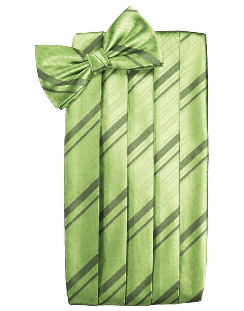 Set Striped Satin Cummerbund & Bow Tie - Sage - Faja 