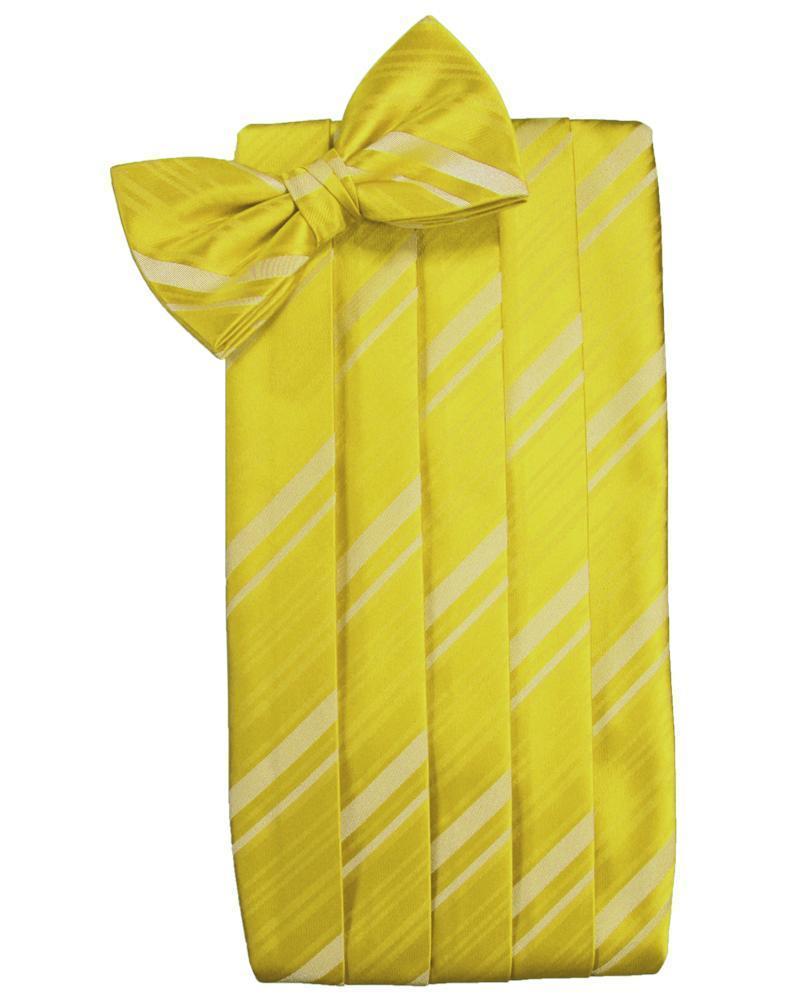 Set Striped Satin Cummerbund & Bow Tie - Willow - Faja 